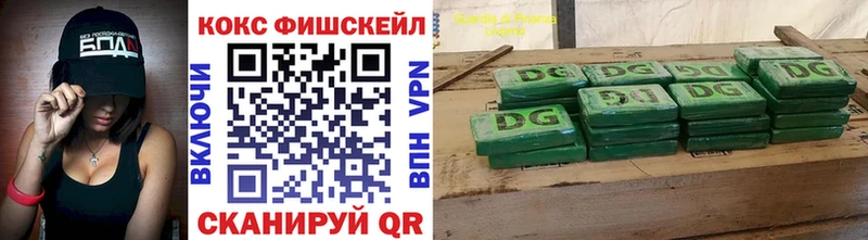 цены   Новозыбков  Cocaine FishScale 