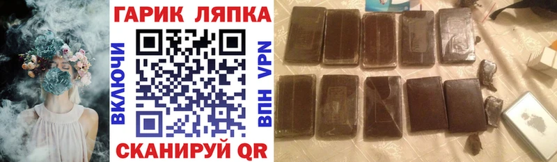 ГАШ Cannabis  где найти наркотики  Новозыбков 