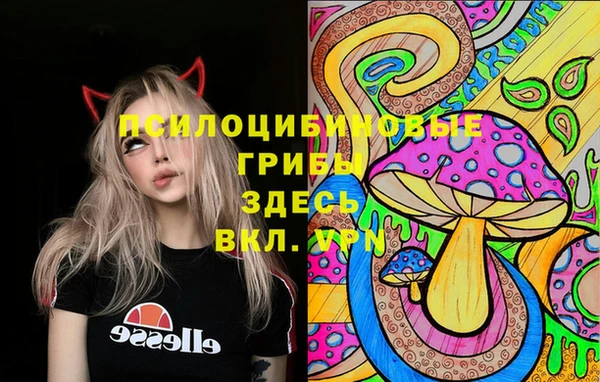 герыч Алексеевка