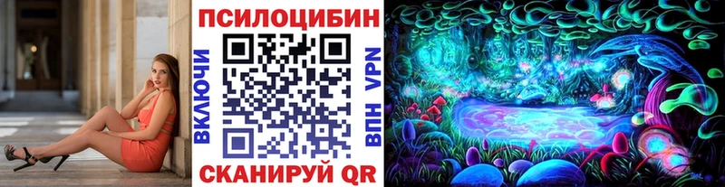 Псилоцибиновые грибы ЛСД  сколько стоит  Новозыбков 