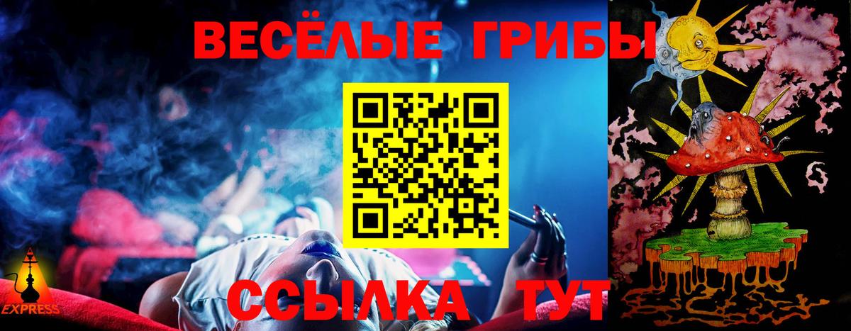 Псилоцибиновые грибы мицелий Новозыбков