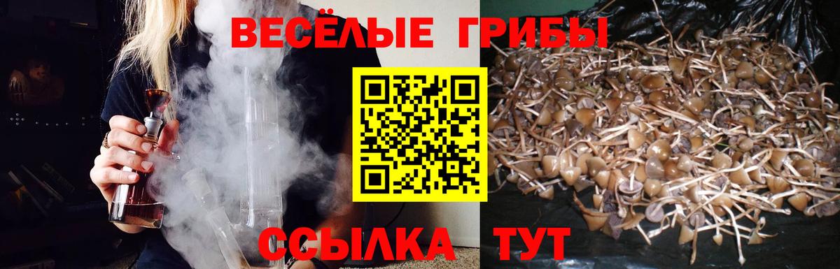 Галлюциногенные грибы мухоморы  Псилоцибиновые грибы Psilocybe  Новозыбков  Вход с VPN 